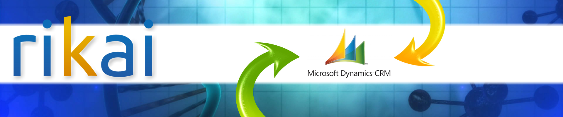Rikai Microsoft Dynamics CRM